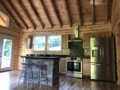 Hemlock Log Cabin 
Garage game room ,Jacuzzi - photo 10