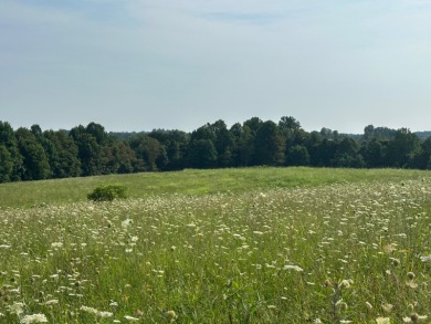 Lake Acreage Off Market in Liberty, Kentucky