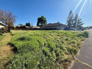 Build your dream home in the beautiful gated community of Lake - photo 2