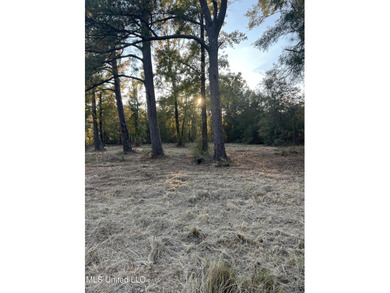(private lake, pond, creek) Acreage For Sale in Hattiesburg Mississippi