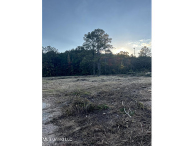 PRICED REDUCED !!! 32.24 Acres Ready for you to make it your own - photo 5