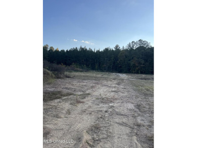 PRICED REDUCED !!! 32.24 Acres Ready for you to make it your own - photo 6