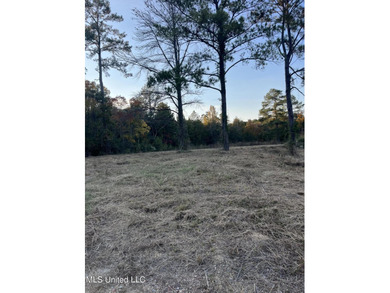 PRICED REDUCED !!! 32.24 Acres Ready for you to make it your own - photo 7