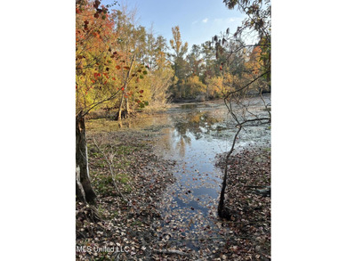 PRICED REDUCED !!! 32.24 Acres Ready for you to make it your own - photo 8