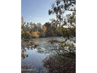 PRICED REDUCED !!! 32.24 Acres Ready for you to make it your own - photo 9