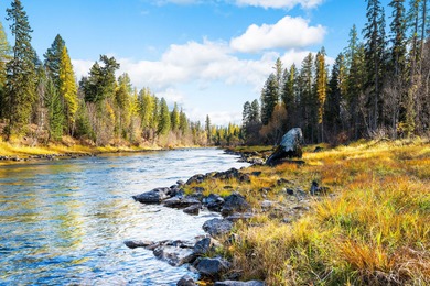 (private lake, pond, creek) Lot Active Under Contract in Bigfork Montana