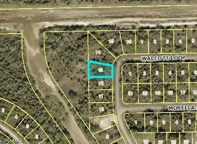 Lehigh Acres Area Lot Sale Pending in Lehigh Acres Florida