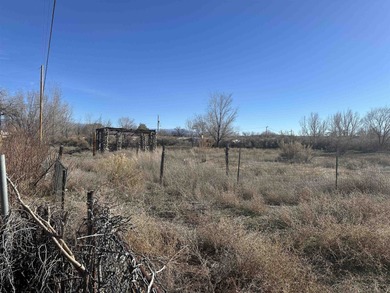 Colorado River Lot For Sale in Grand Junction Colorado