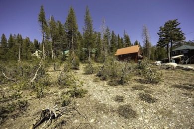 Build your dream mountain home in the peaceful community of - photo 4