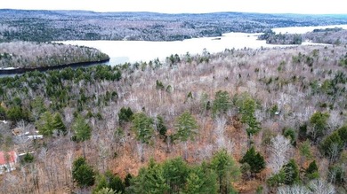 Discover your perfect getaway in the heart of the Maine Woods! - photo 2