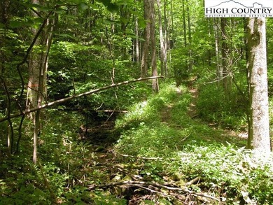 SPECTACULAR 63.90-ACRE TRACT WITH GORGE AND LONG-RANGE VIEWS! - photo 2