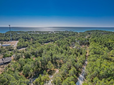 Two acre lot just steps from the Gulf of Mexico and Highway 98! - photo 22