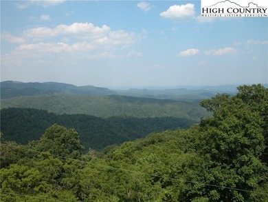 SPECTACULAR 63.90-ACRE TRACT WITH GORGE AND LONG-RANGE VIEWS! - photo 4