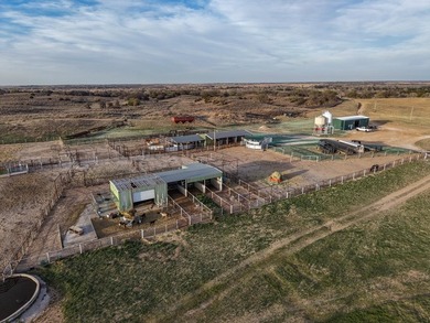 I am pleased to present a premier ranching opportunity located - photo 9
