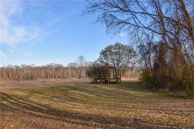 Beautiful home nestled on 3 acres with the Black Warrior River - photo 30