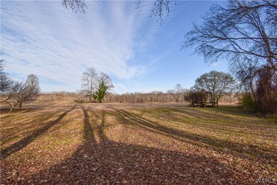 Beautiful home nestled on 3 acres with the Black Warrior River - photo 31