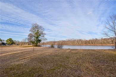 Beautiful home nestled on 3 acres with the Black Warrior River - photo 34