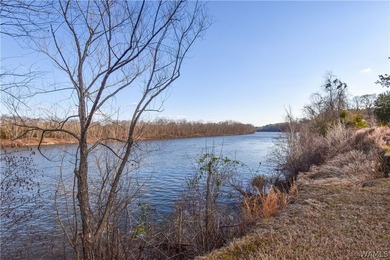 Beautiful home nestled on 3 acres with the Black Warrior River - photo 35