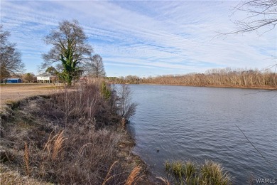 Beautiful home nestled on 3 acres with the Black Warrior River - photo 36