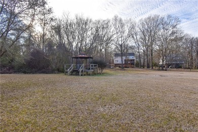 Beautiful home nestled on 3 acres with the Black Warrior River - photo 37