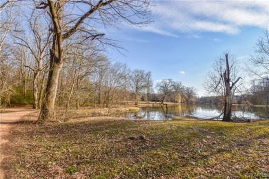 Beautiful home nestled on 3 acres with the Black Warrior River - photo 40