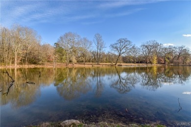 Beautiful home nestled on 3 acres with the Black Warrior River - photo 42