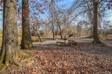 Beautiful home nestled on 3 acres with the Black Warrior River - photo 43
