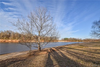 Beautiful home nestled on 3 acres with the Black Warrior River - photo 44