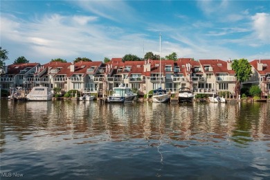 Lake Erie - Erie County Condo For Sale in Vermilion Ohio