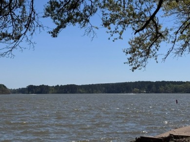 Waterfront home on Lake Livingston - photo 10