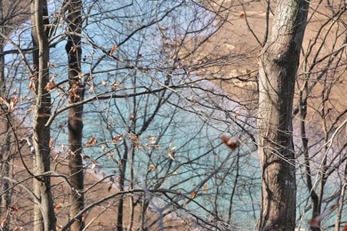 Barren River Lake Lot For Sale in Fountain Run Kentucky