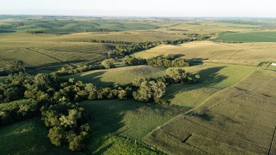 Located two and a half miles North East of Dixon, Nebraska, is - photo 8