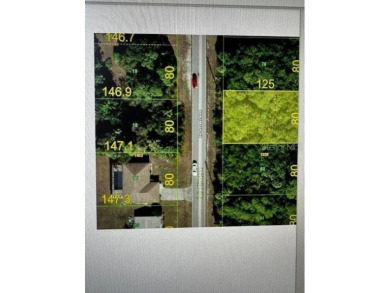 Port Charlotte Waterway Lakes Area Lot For Sale in Port Charlotte Florida