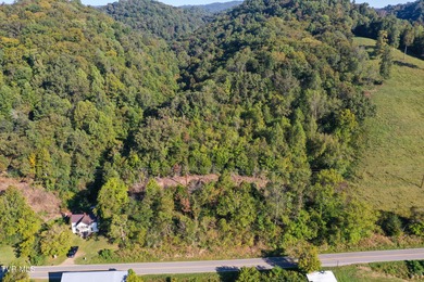 1118 Tazewell Hwy.- Here is the opportunity that rarely comes - photo 11