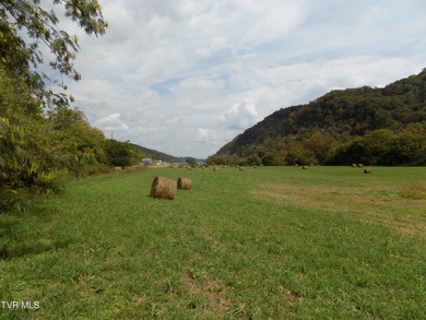 1118 Tazewell Hwy.- Here is the opportunity that rarely comes - photo 13
