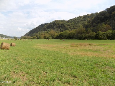 1118 Tazewell Hwy.- Here is the opportunity that rarely comes - photo 15