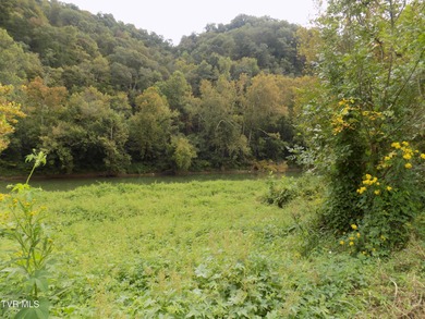 1118 Tazewell Hwy.- Here is the opportunity that rarely comes - photo 17