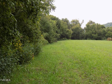 1118 Tazewell Hwy.- Here is the opportunity that rarely comes - photo 20