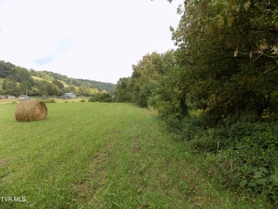 1118 Tazewell Hwy.- Here is the opportunity that rarely comes - photo 21