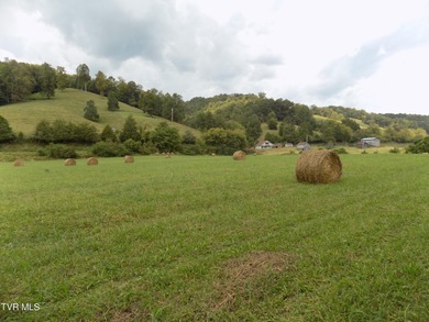 1118 Tazewell Hwy.- Here is the opportunity that rarely comes - photo 22