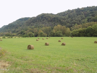 1118 Tazewell Hwy.- Here is the opportunity that rarely comes - photo 27