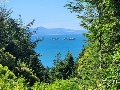 Perched above town with an Ocean views, this meticulously - photo 28