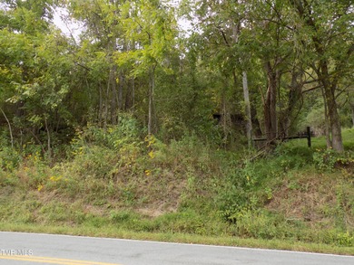1118 Tazewell Hwy.- Here is the opportunity that rarely comes - photo 29