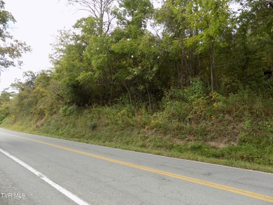 1118 Tazewell Hwy.- Here is the opportunity that rarely comes - photo 30