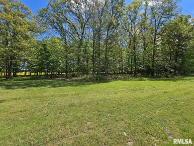 (private lake, pond, creek) Lot For Sale in Dix Illinois