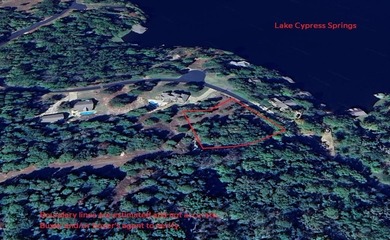 Lake Cypress Springs Lot For Sale in Scroggins Texas