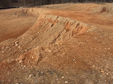 Chickamauga Lake Lot For Sale in Dayton Tennessee