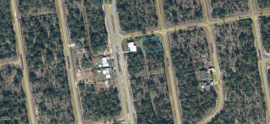 Boat Lake Lot For Sale in Chipley Florida