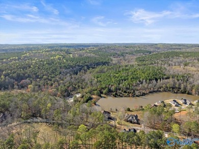 Gorgeous, large lot ready for you to bring your builder and get - photo 11