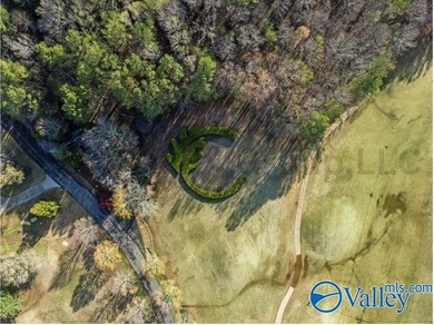 Gorgeous, large lot ready for you to bring your builder and get - photo 13